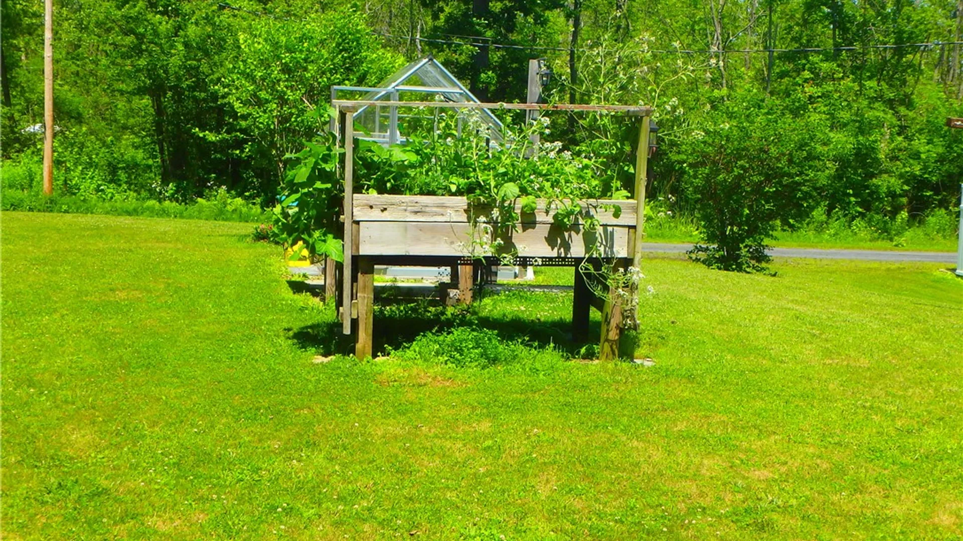 Property at 10854 Duck Lake Road, Conquest, NY 13143 31