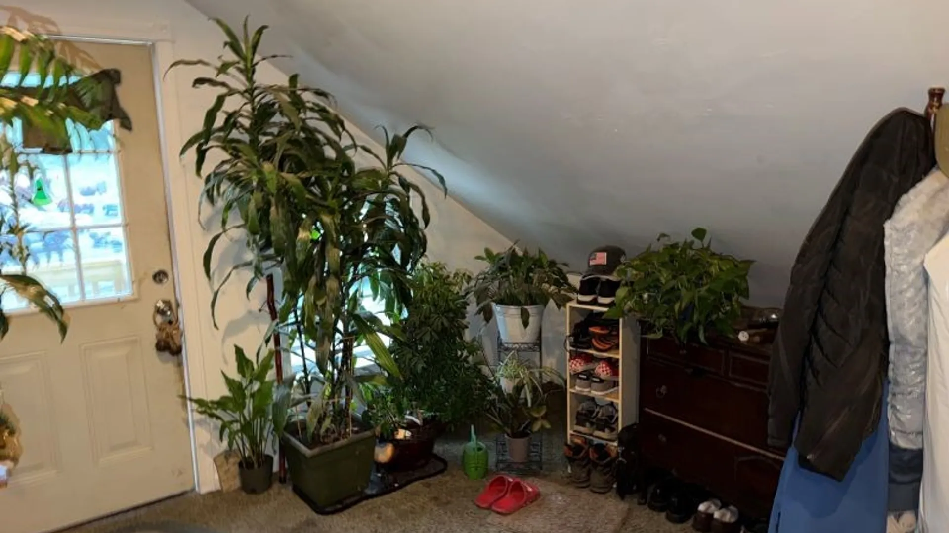 Property at 423 W. Allegany Avenue, Emporium Boro, PA 15834 38