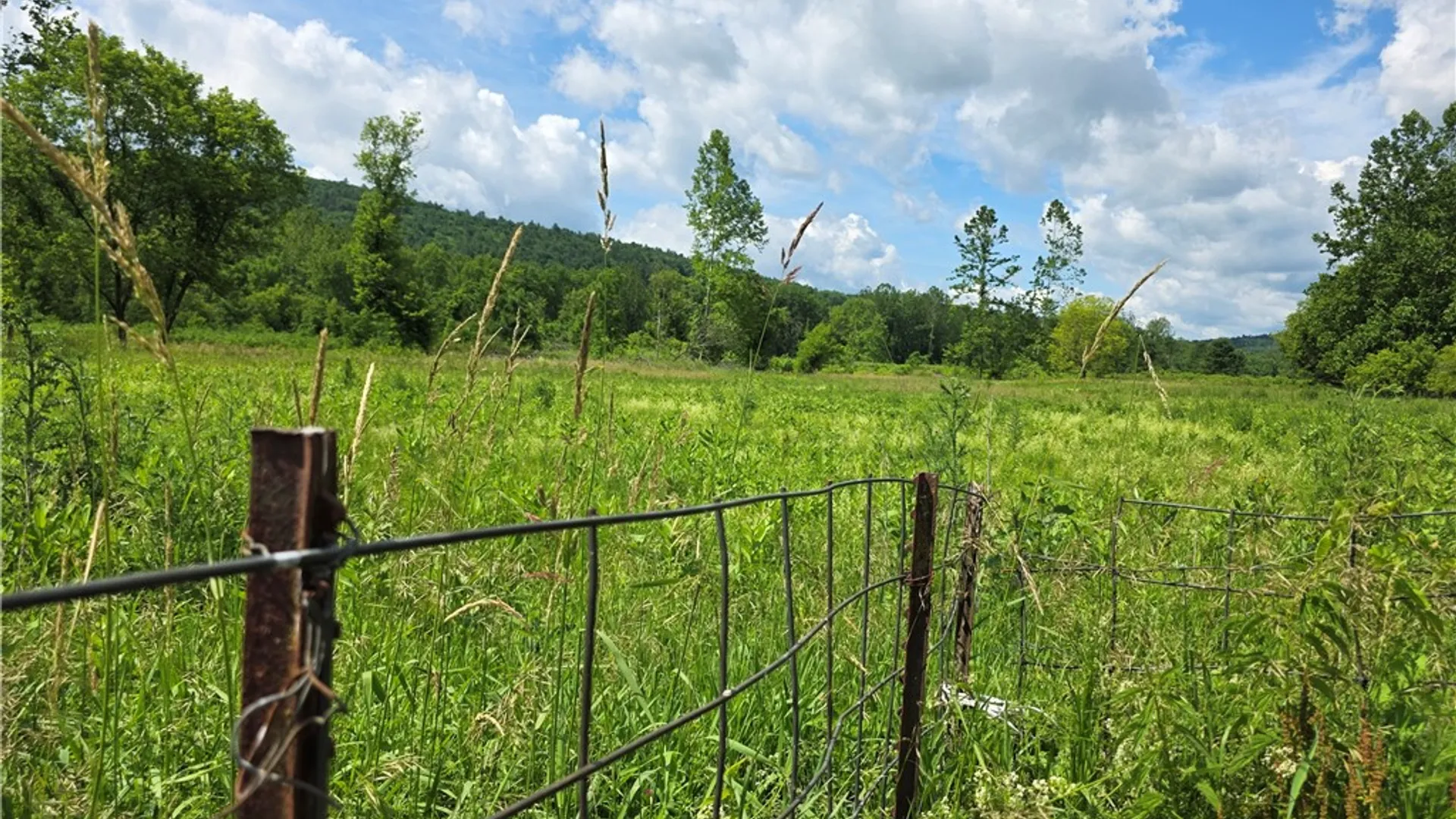 Property at 7684 State Route 417, Tuscarora, NY 14801 34