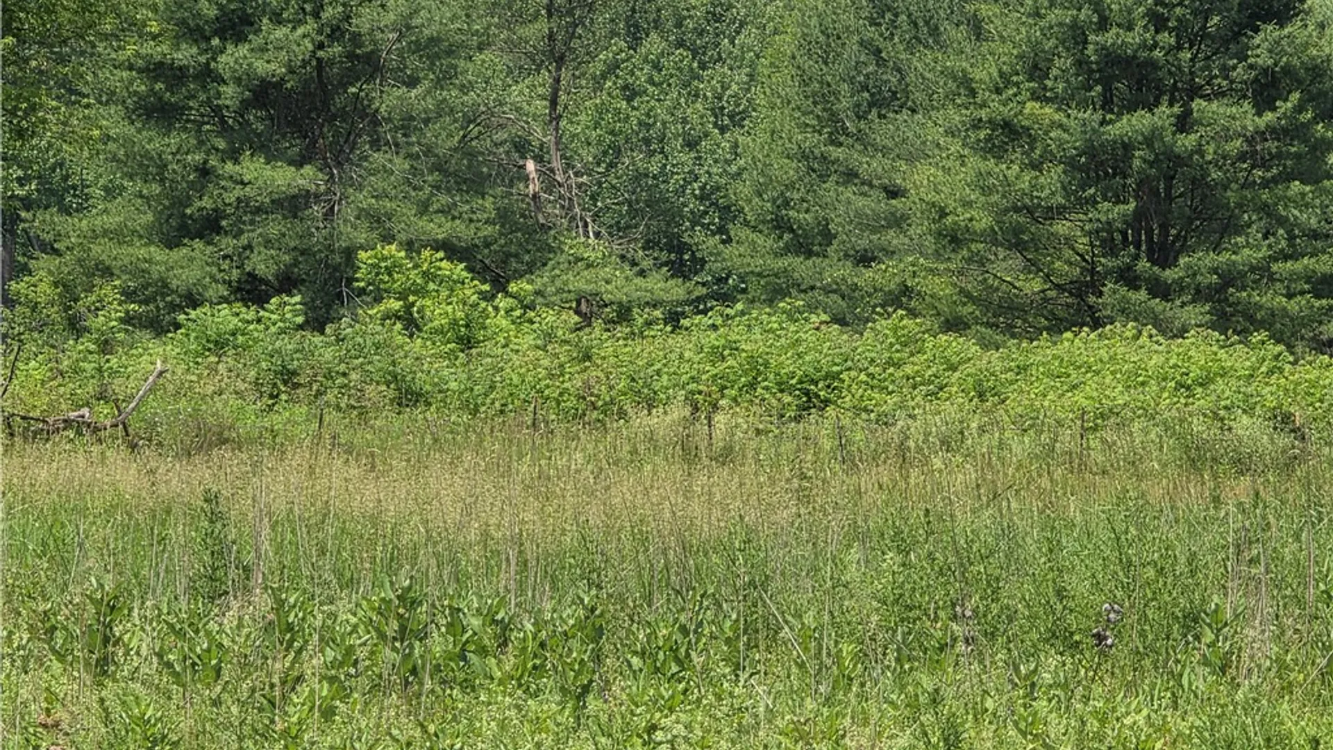 Property at 7684 State Route 417, Tuscarora, NY 14801 35