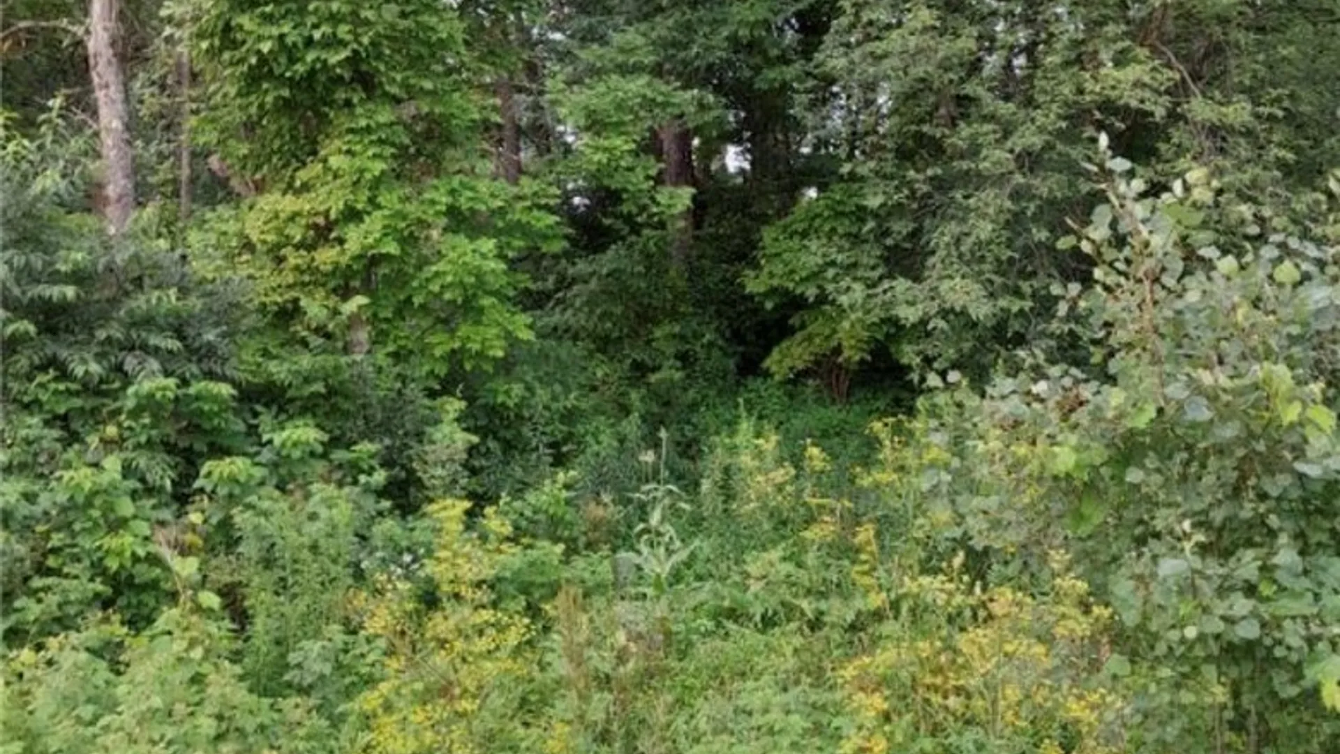 Property at 0 Stauber Rd, Groton, NY 13073 10