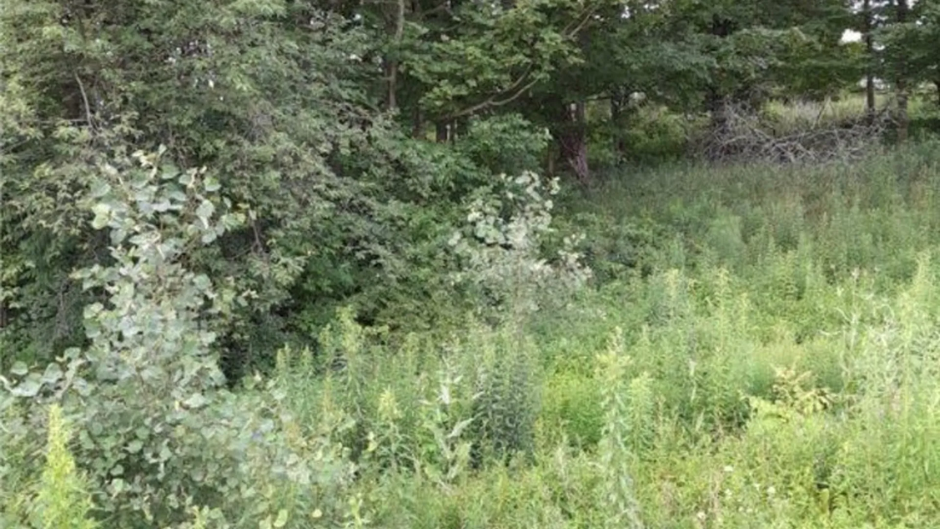 Property at 0 Stauber Rd, Groton, NY 13073 11