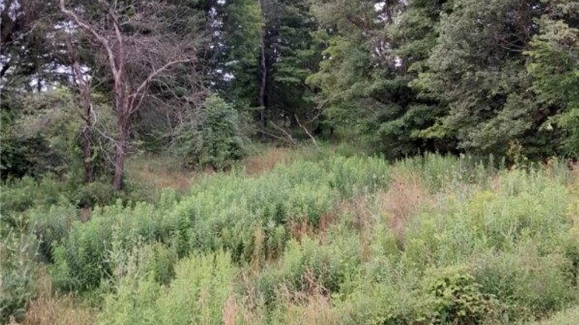 Property at 0 Stauber Rd, Groton, NY 13073 7