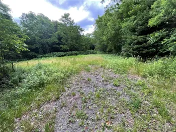 Property at 7537 East Avenue, Springwater, NY 14560