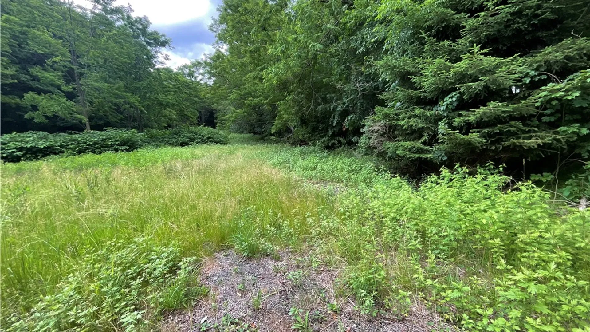 Property at 7537 East Avenue, Springwater, NY 14560 3