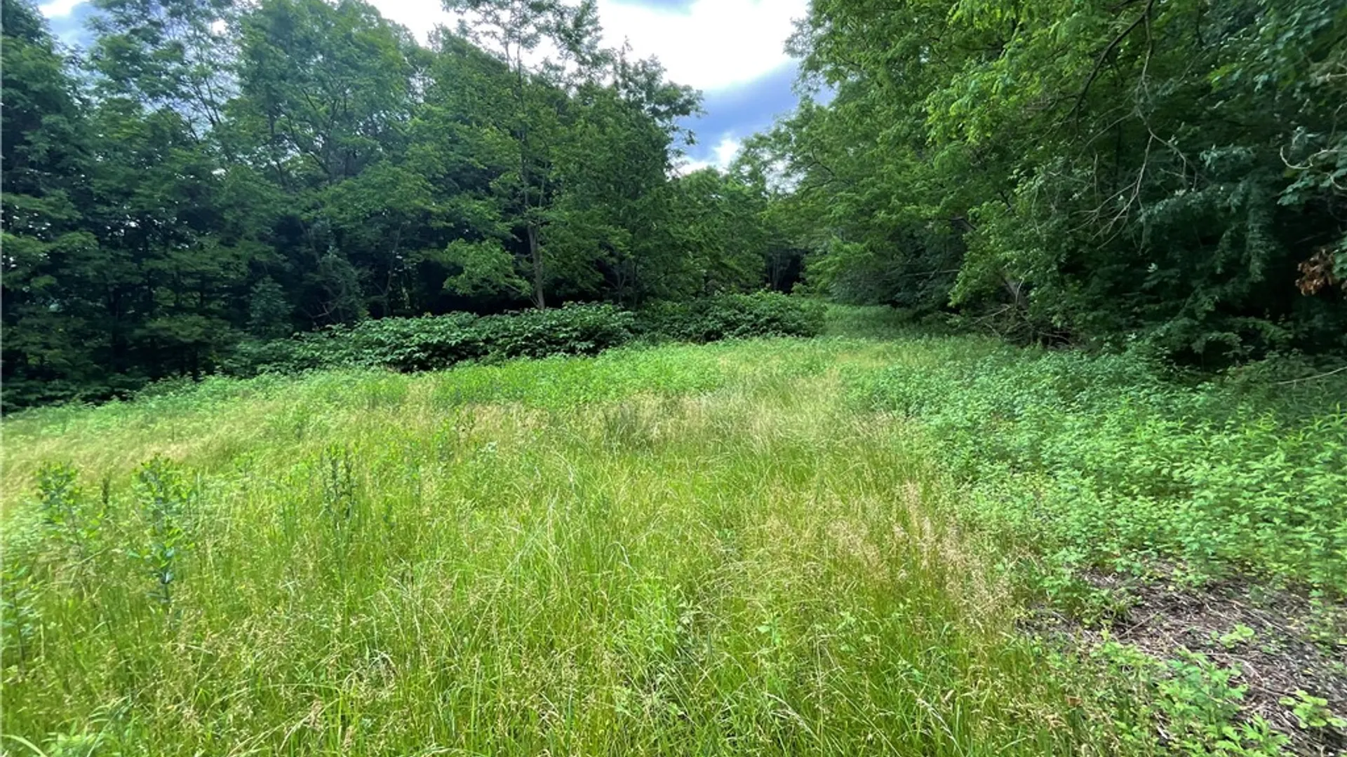 Property at 7537 East Avenue, Springwater, NY 14560 4