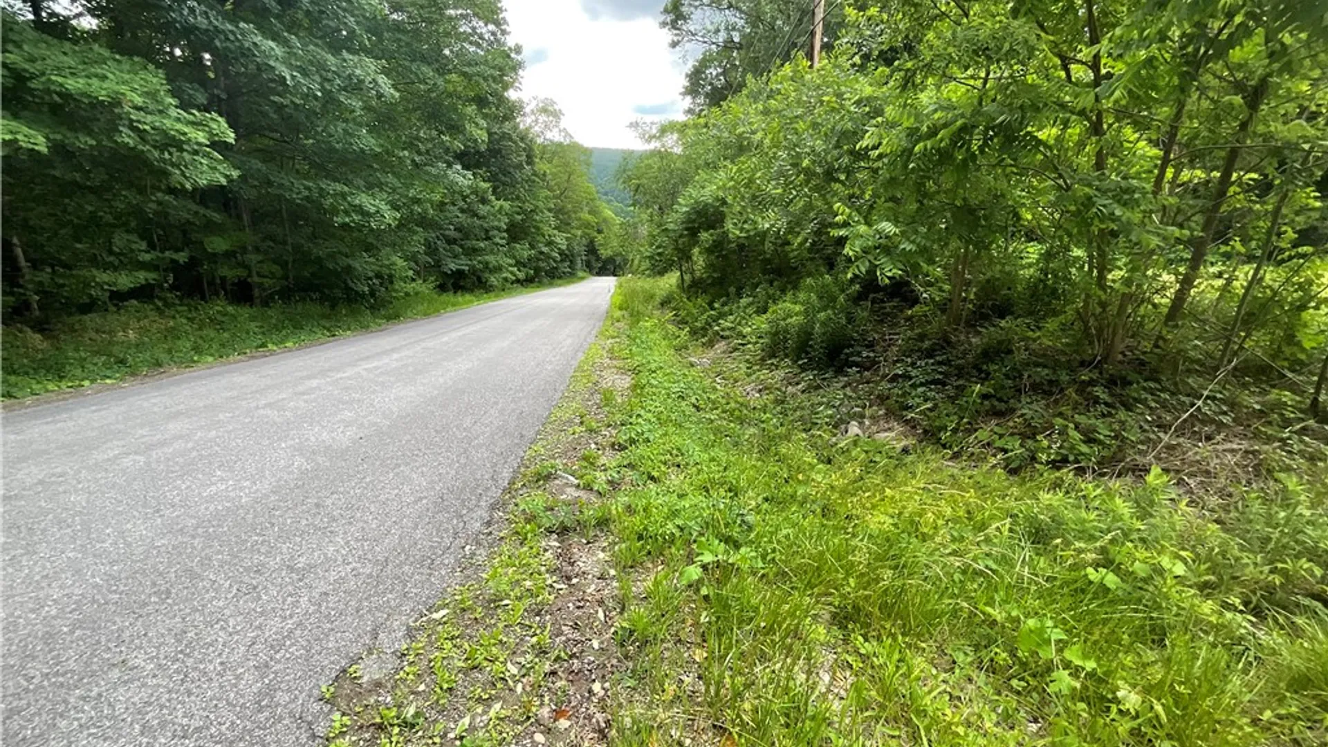 Property at 7537 East Avenue, Springwater, NY 14560 5