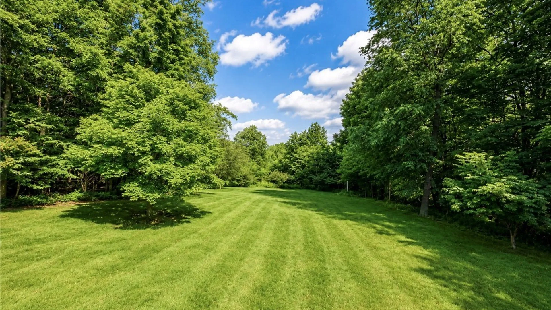 Property at 8472 Bailey Hill Road  Lot #11, East Otto, NY 14729 44