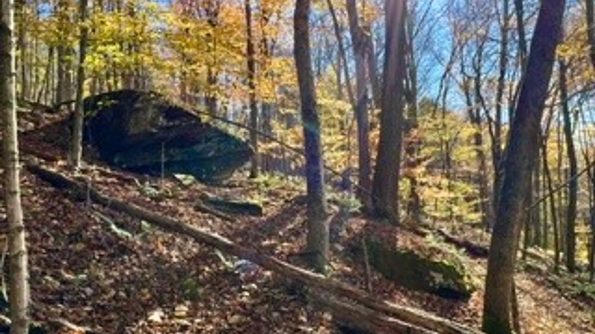 Property at lot 149.20-2-3 Delaware Avenue, Delhi, NY 13753 6