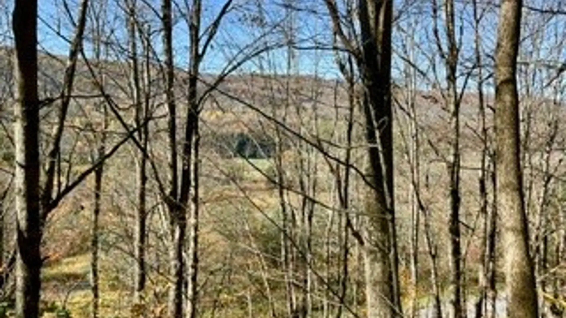 Property at lot 149.20-2-3 Delaware Avenue, Delhi, NY 13753 11
