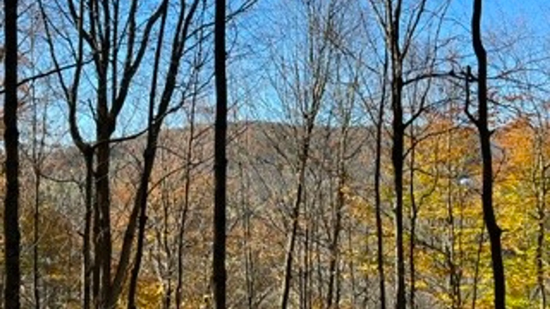 Property at lot 149.20-2-3 Delaware Avenue, Delhi, NY 13753 17