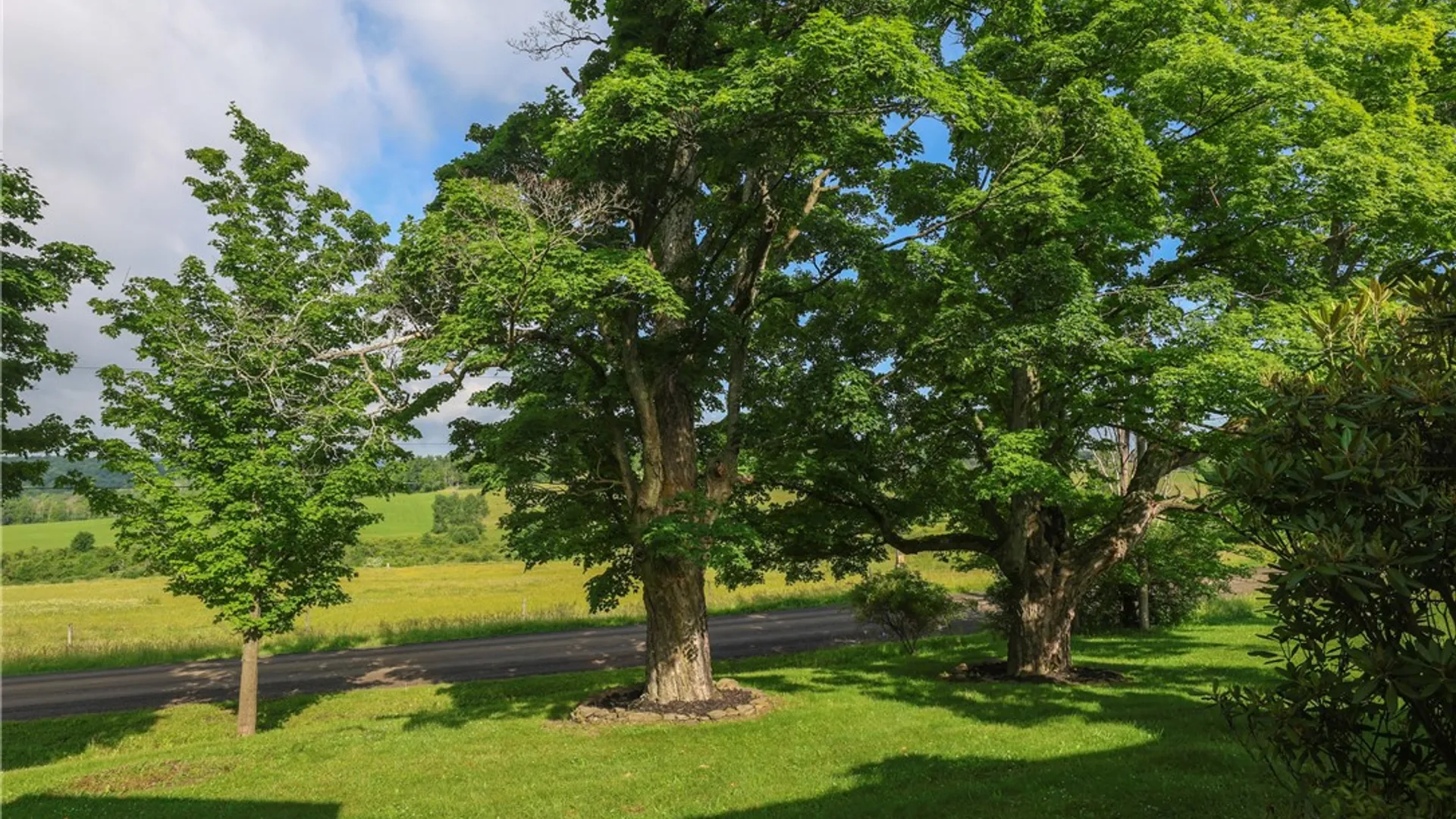 Property at 850 Harris Road, Caton, NY 14830 43