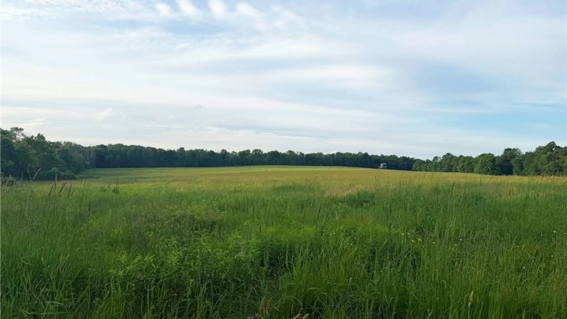 Property at 4891 Telephone Road, Taylor, NY 13040 27