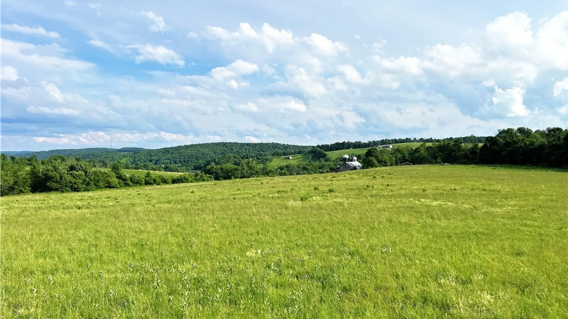 Property at 4891 Telephone Road, Taylor, NY 13040 30