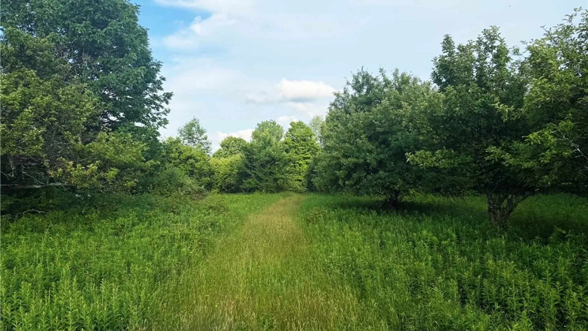 Property at 4891 Telephone Road, Taylor, NY 13040 35