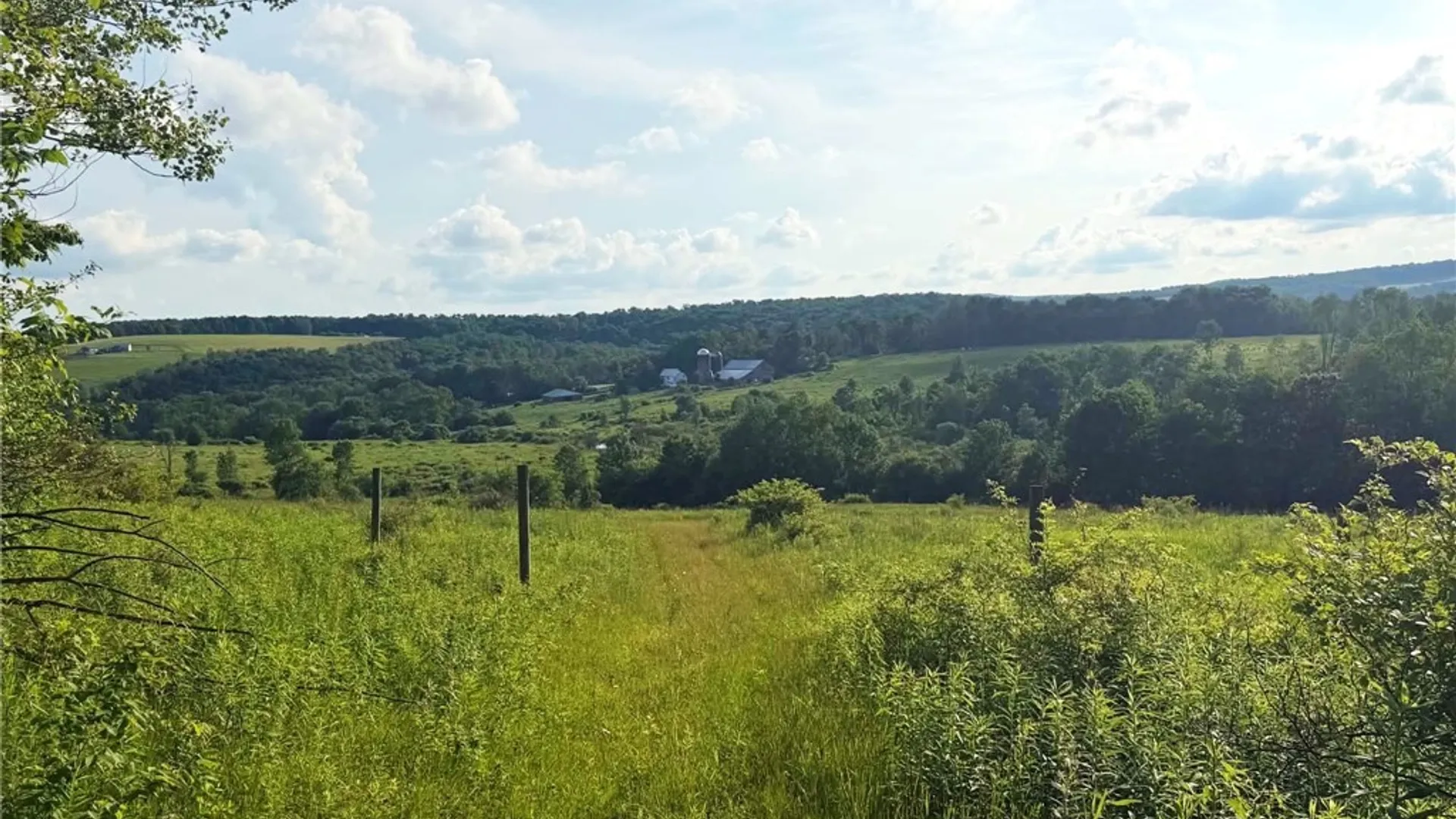 Property at 4891 Telephone Road, Taylor, NY 13040 38