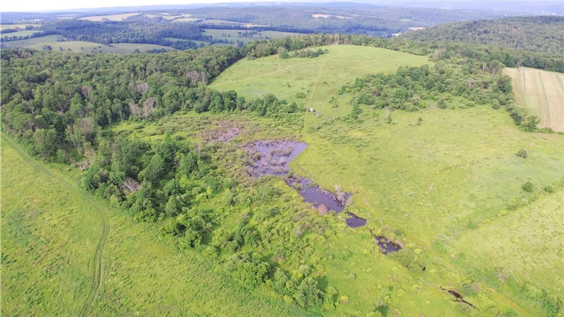 Property at 4891 Telephone Road, Taylor, NY 13040 42