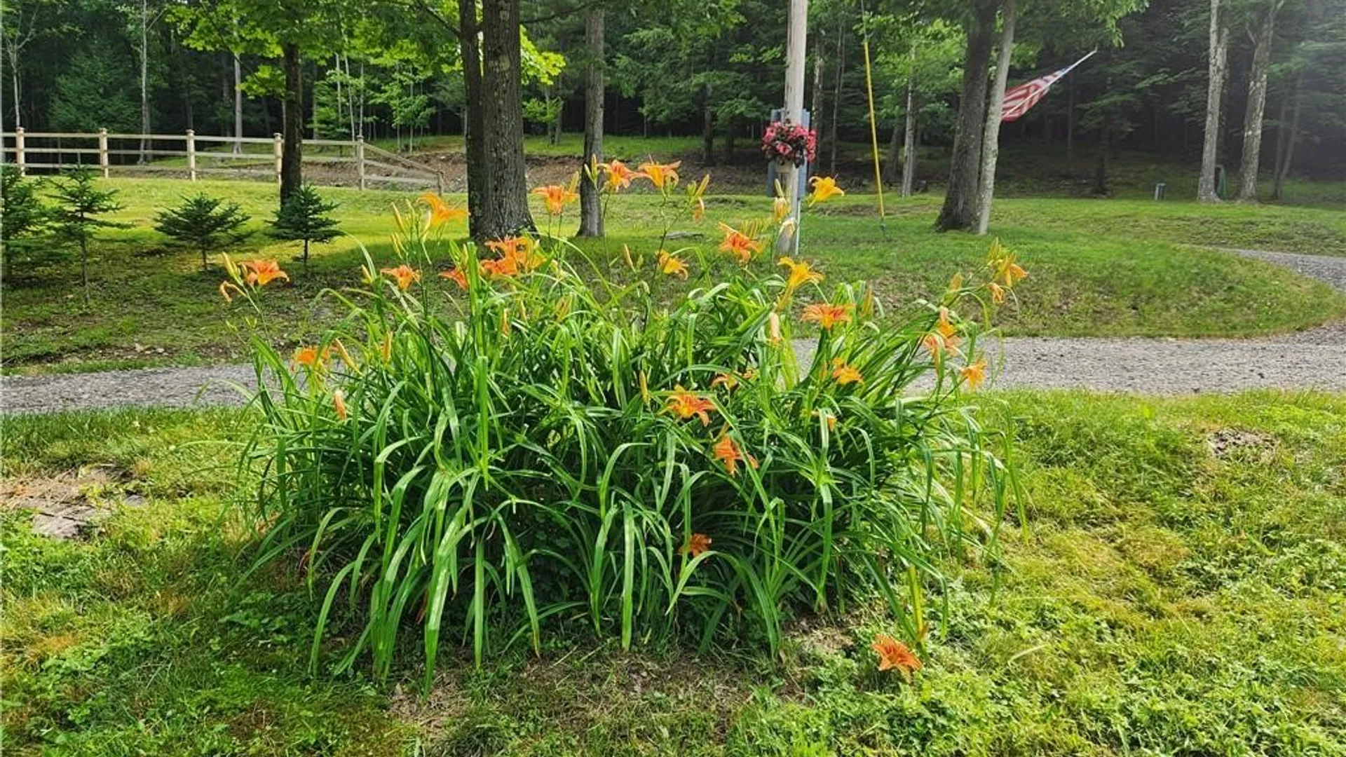 Property at 316 Seminary Road, Hartwick, NY 13348 15