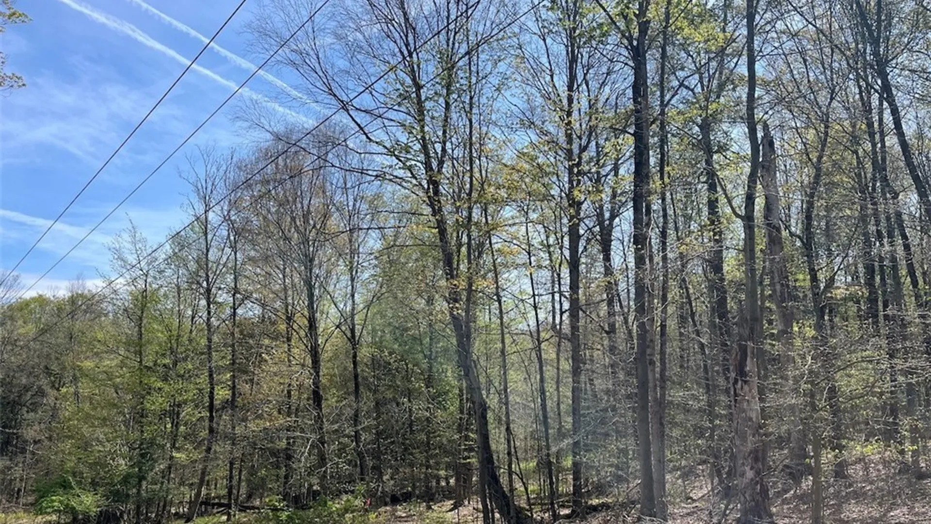 Property at 106 Road, Alma, NY 14708 15