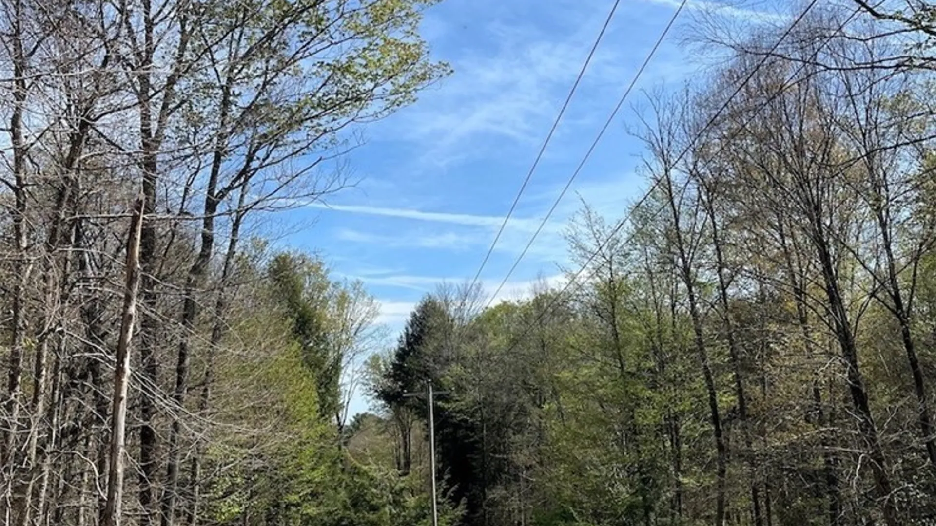 Property at 106 Road, Alma, NY 14708 2
