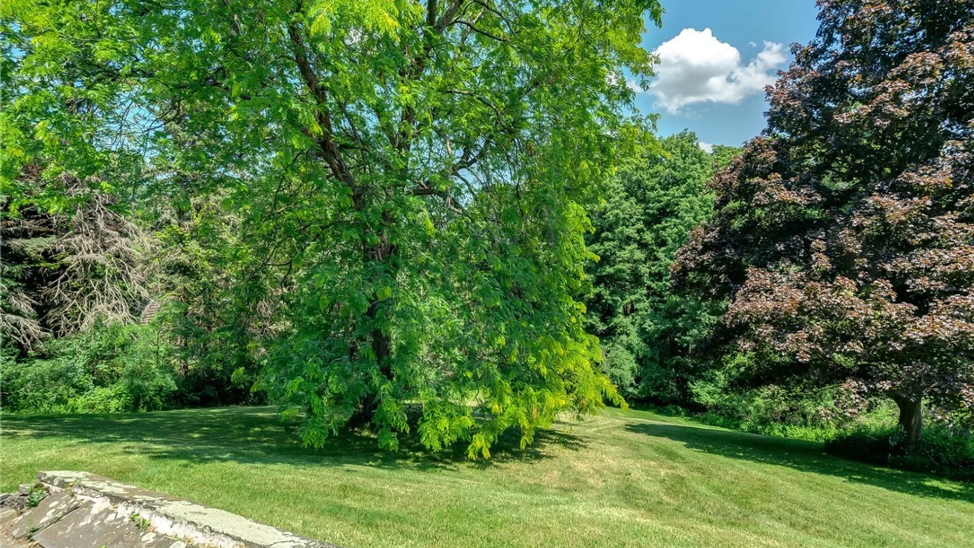 Property at 5157 Skyline Dr Drive, Onondaga, NY 13215 40