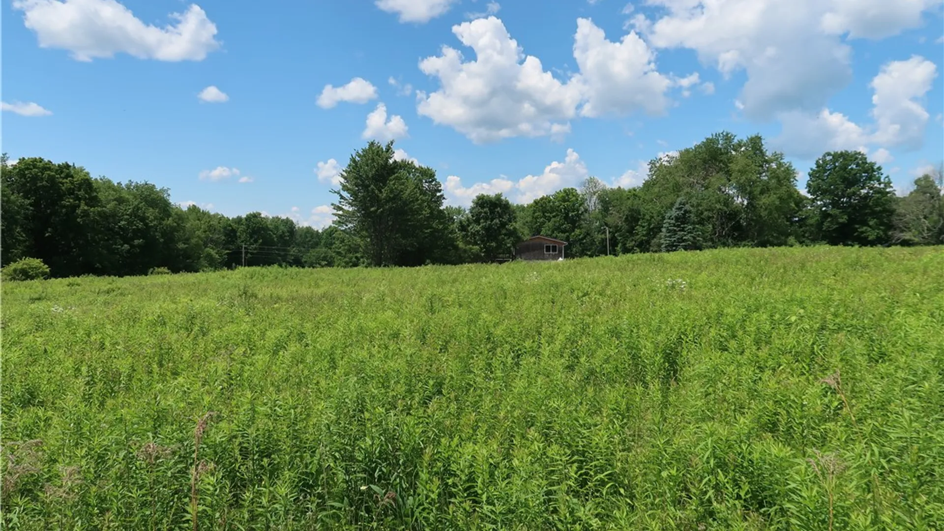 Property at 226 Sisson Hill Road, Unadilla, NY 13849 41