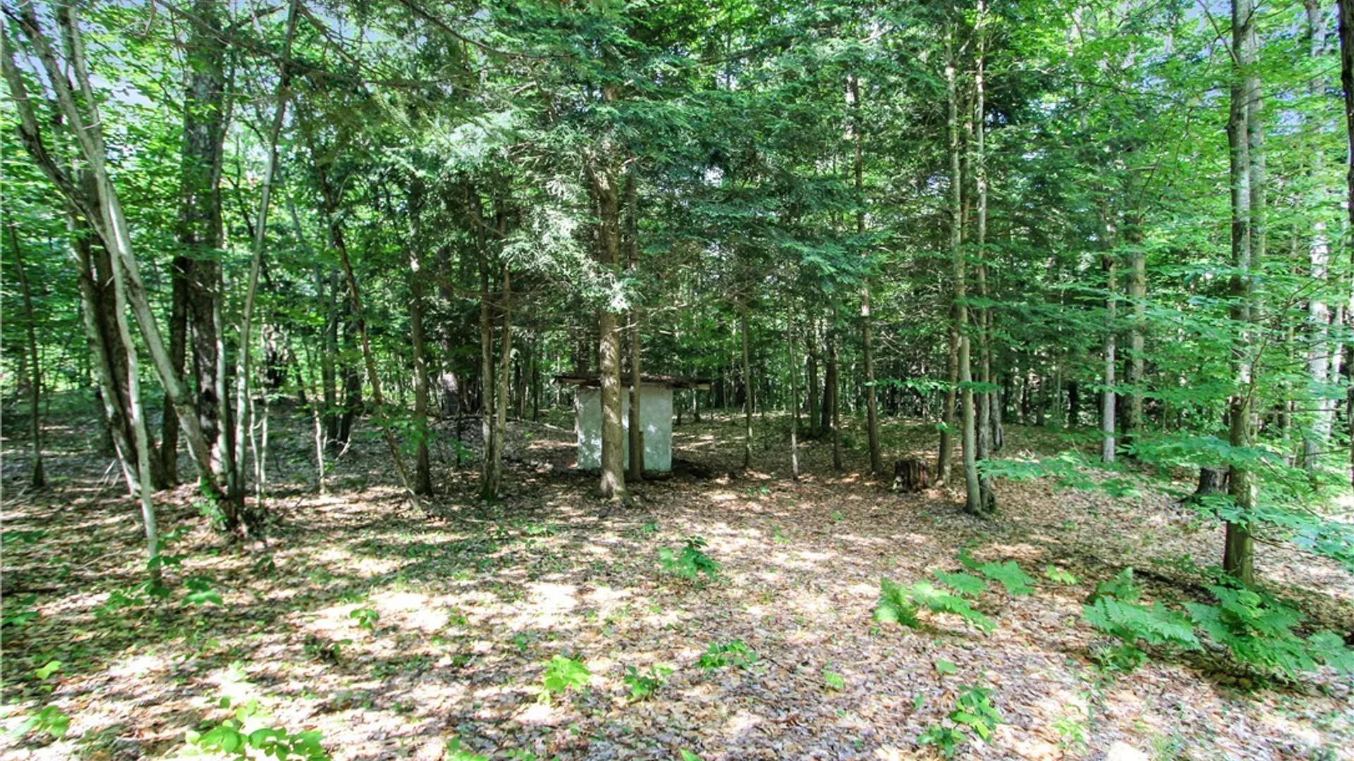 Property at 9897 Croghan Reservoir Road, Croghan, NY 13327 19