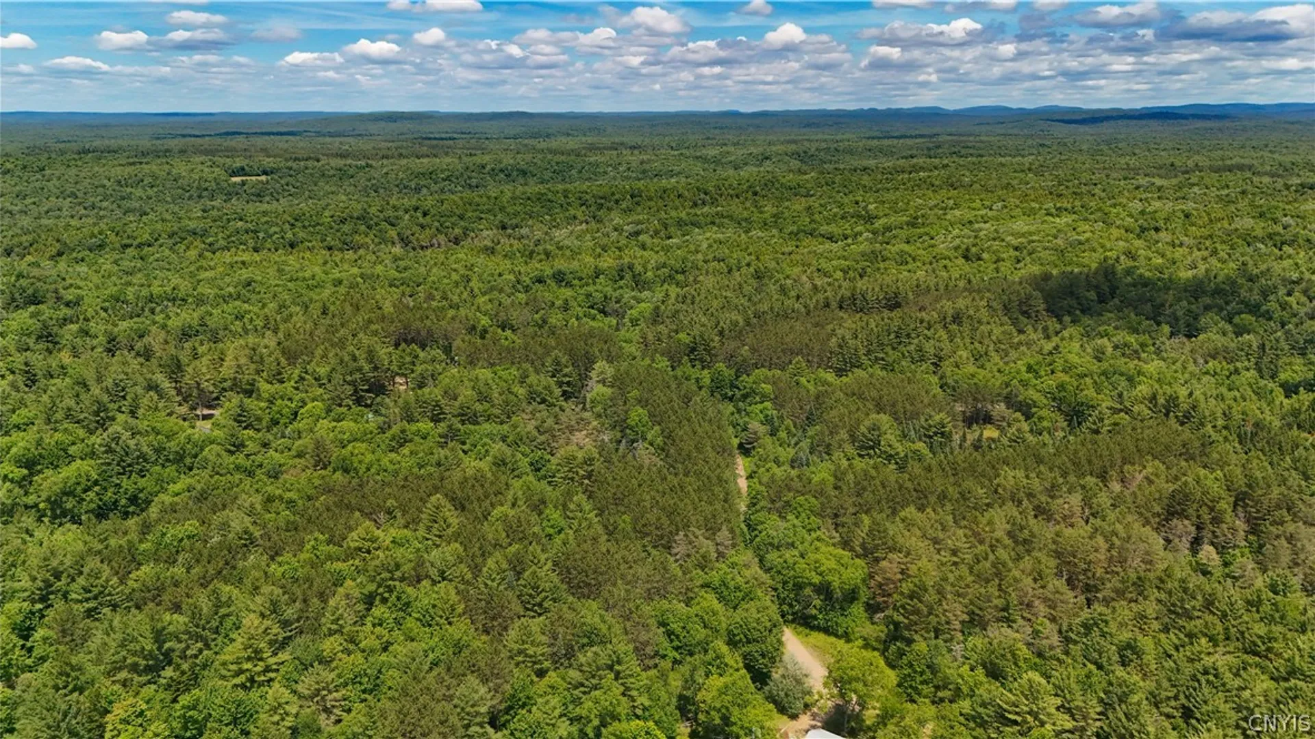Property at Bellingertown Road, Forestport, NY 13338 10