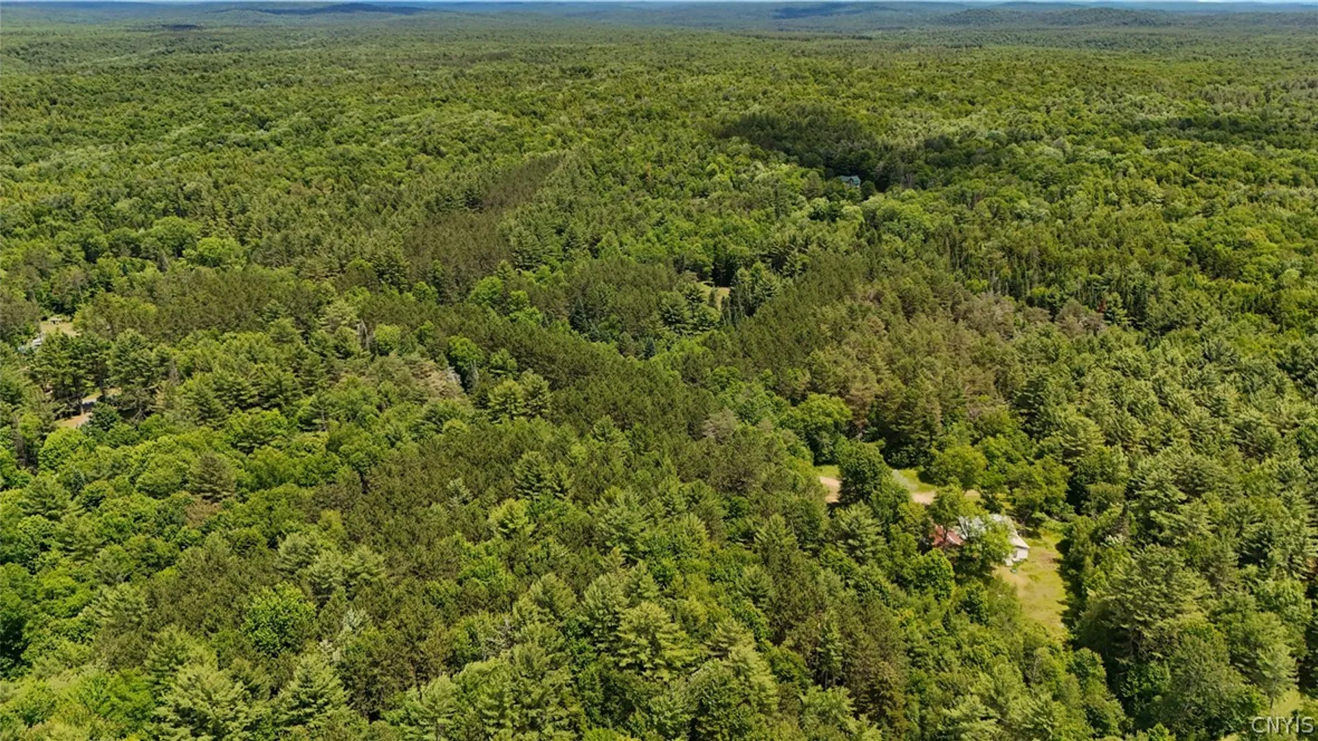 Property at Bellingertown Road, Forestport, NY 13338 11