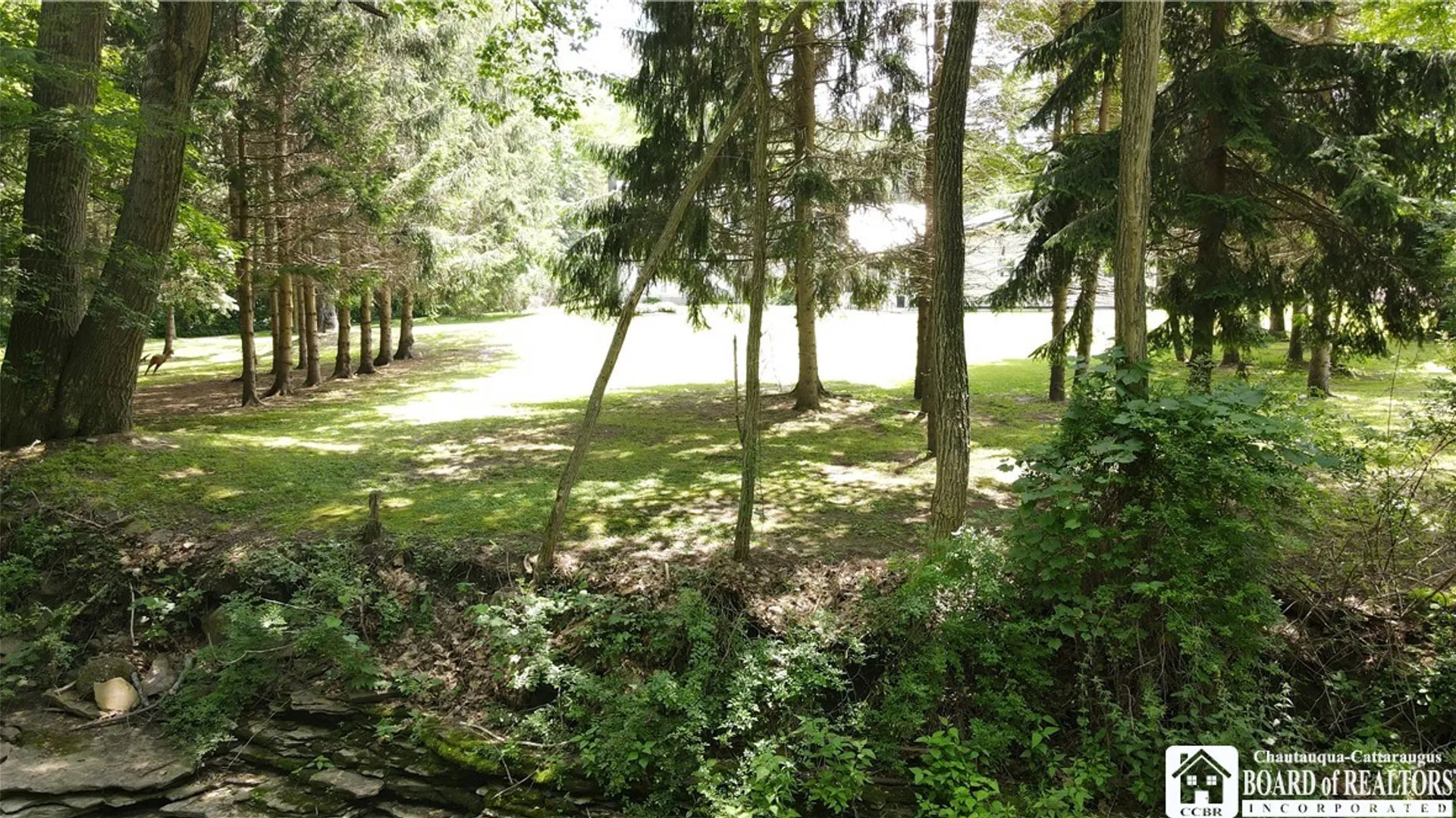 Property at 9231 Spoden Road, Pomfret, NY 14063 44