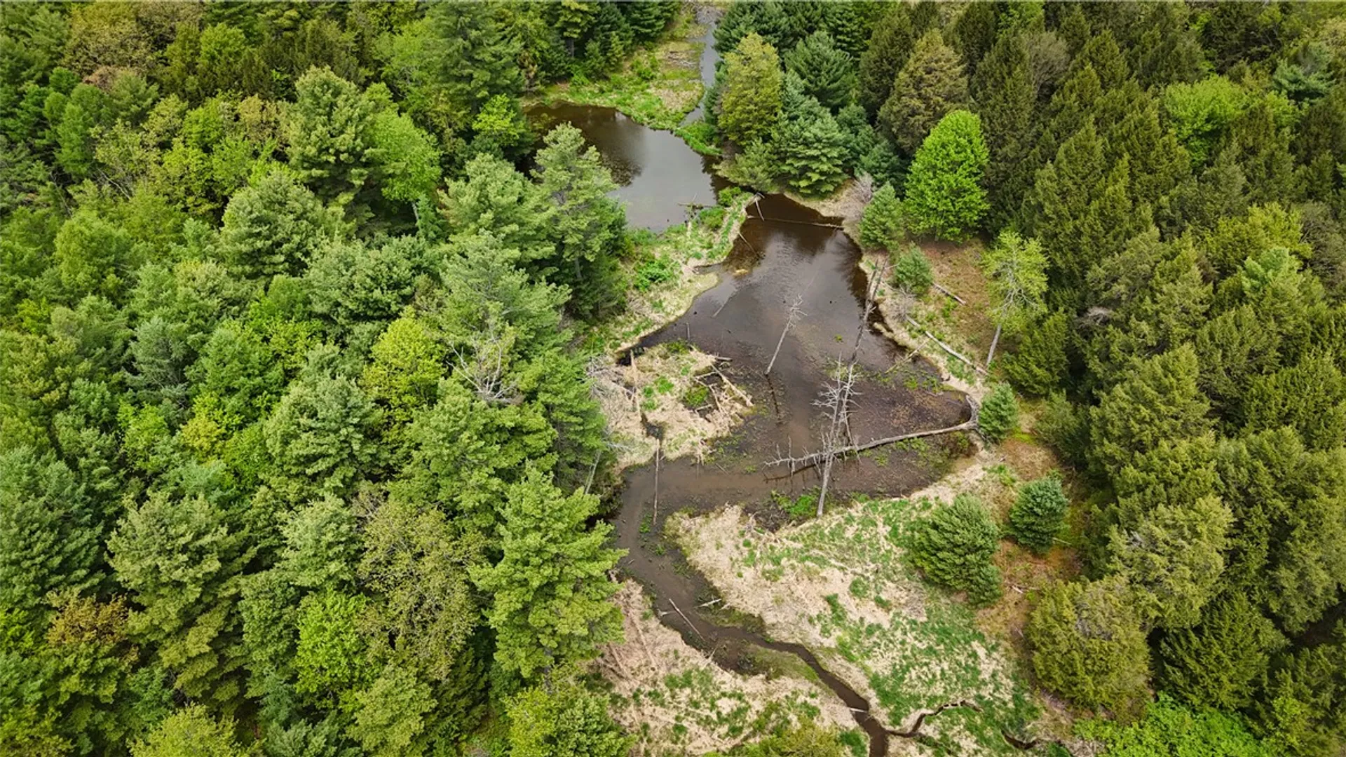 Property at 450 Dean Creek Road, Spencer, NY 14859 20