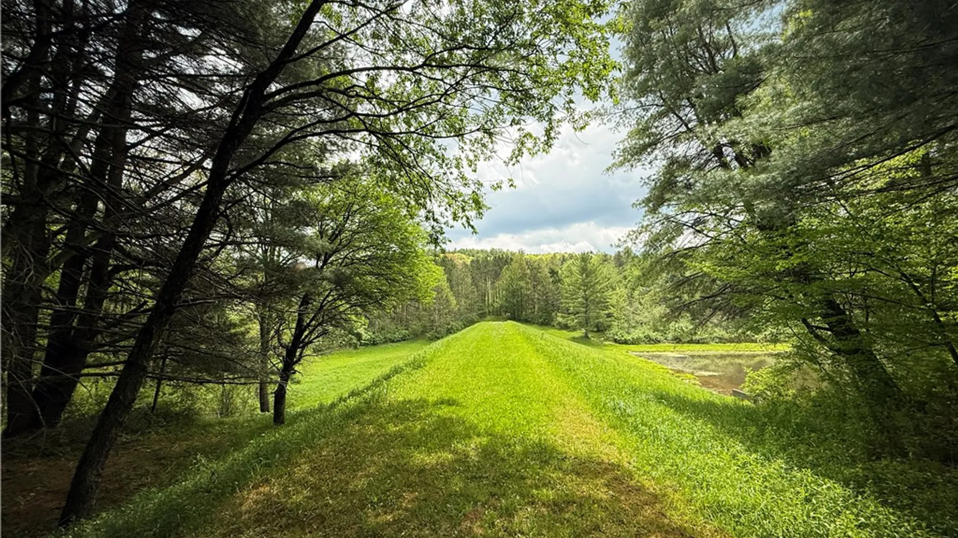 Property at 450 Dean Creek Road, Spencer, NY 14859 24