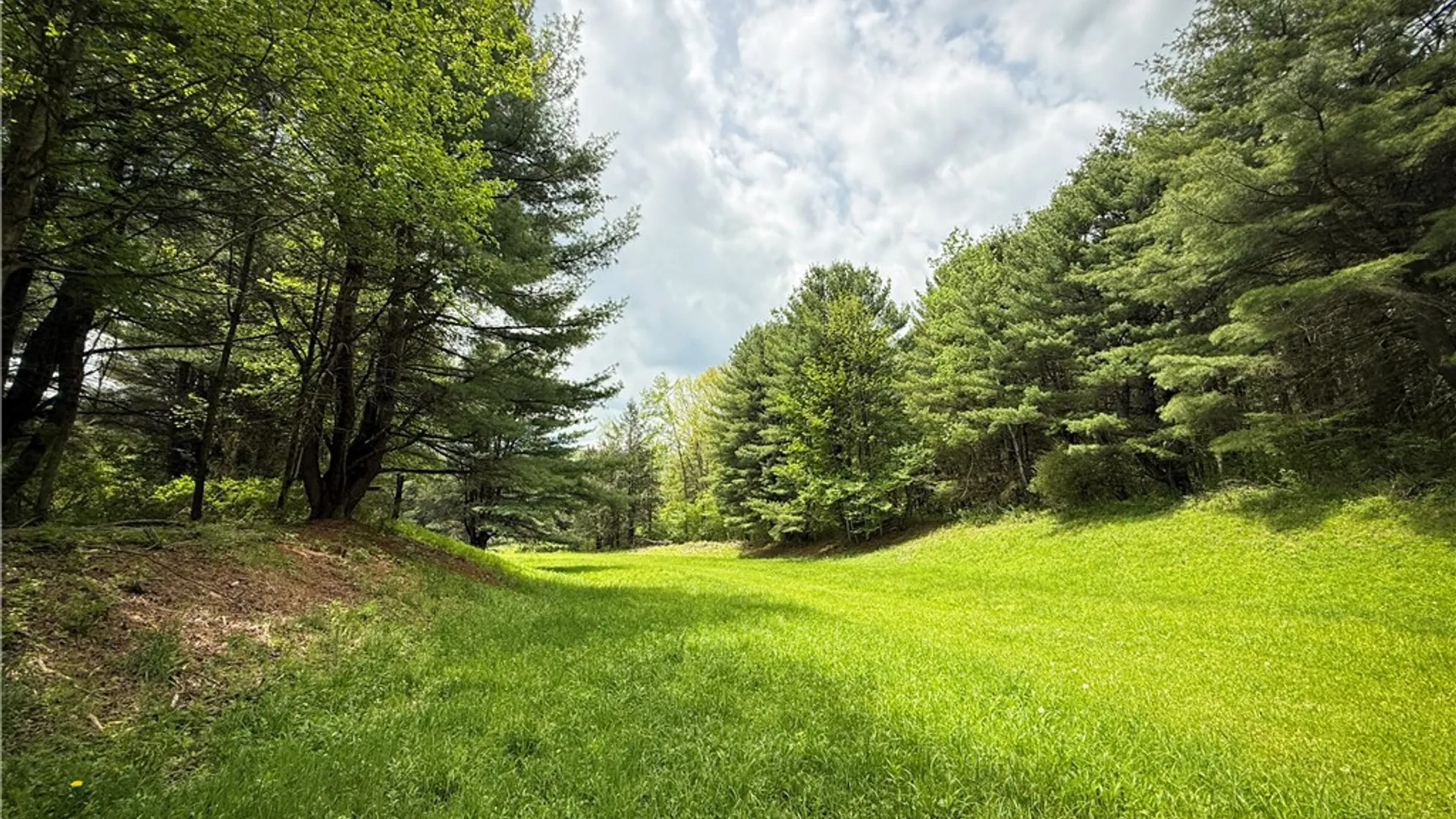 Property at 450 Dean Creek Road, Spencer, NY 14859 25