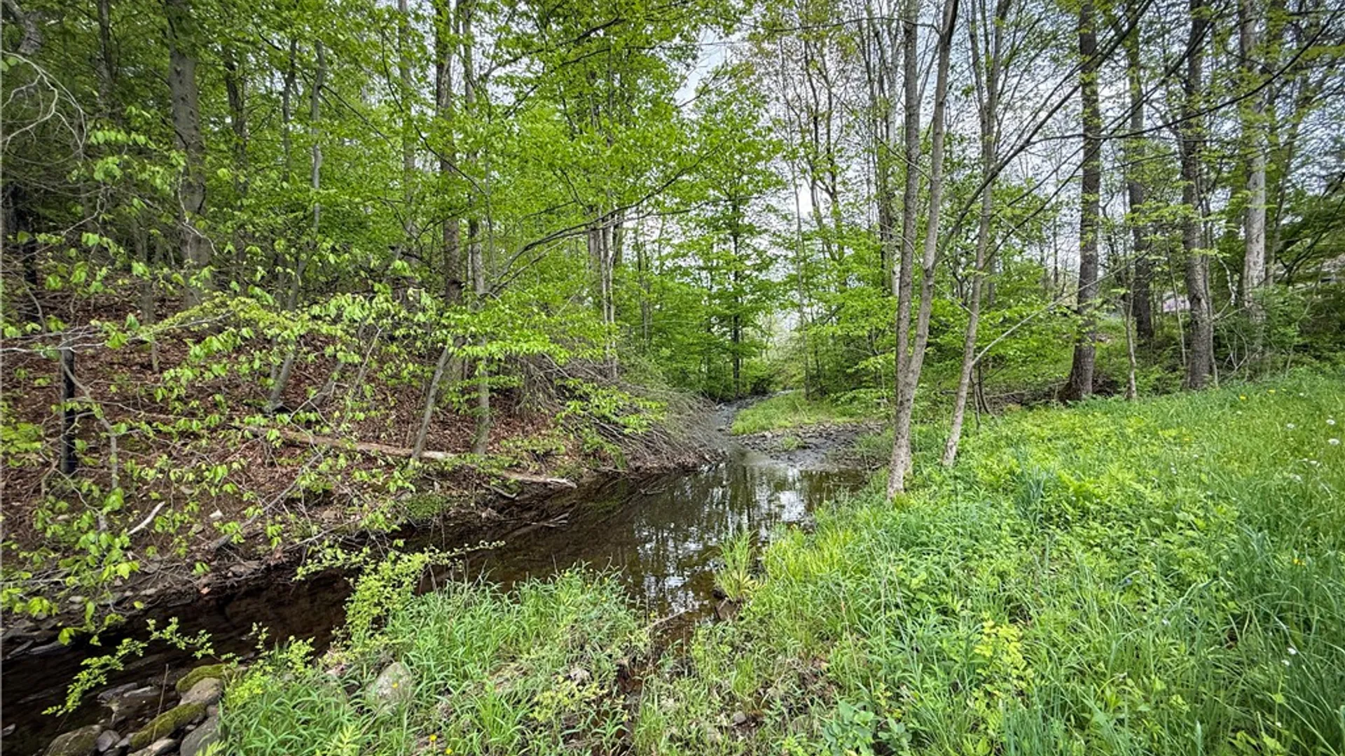 Property at 450 Dean Creek Road, Spencer, NY 14859 26