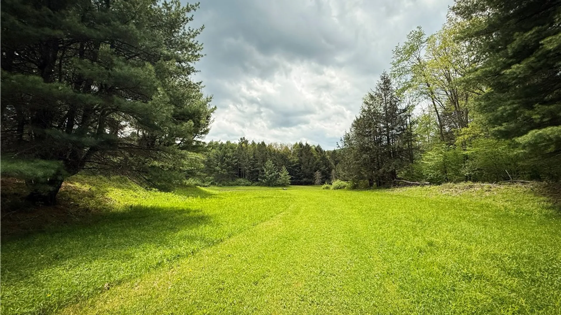Property at 450 Dean Creek Road, Spencer, NY 14859 27