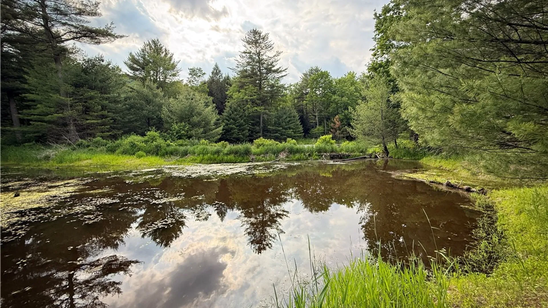 Property at 450 Dean Creek Road, Spencer, NY 14859 34