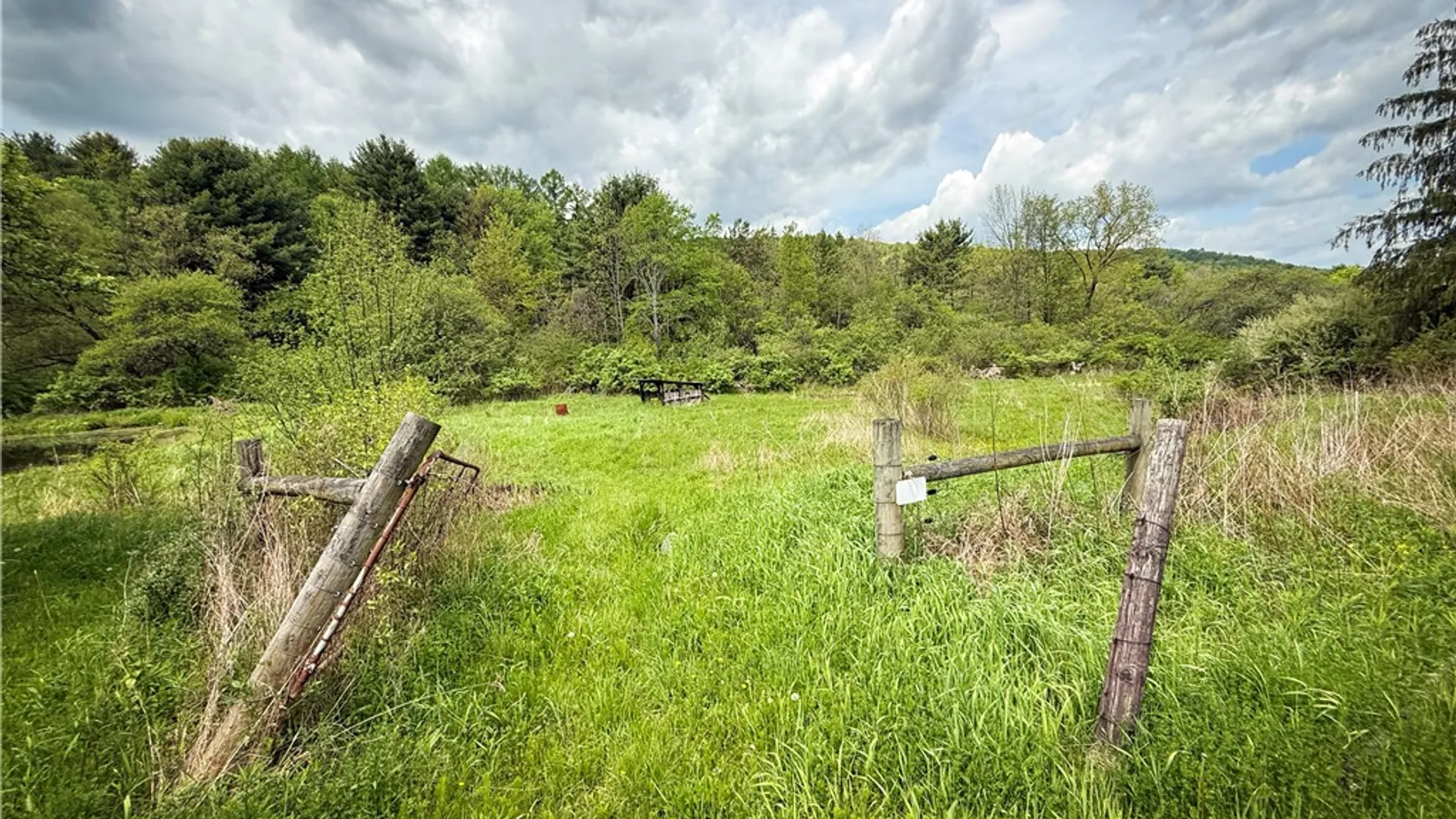 Property at 450 Dean Creek Road, Spencer, NY 14859 42