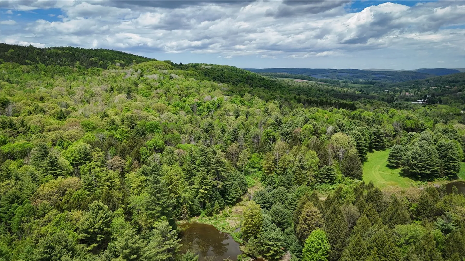 Property at 450 Dean Creek Road, Spencer, NY 14859 46