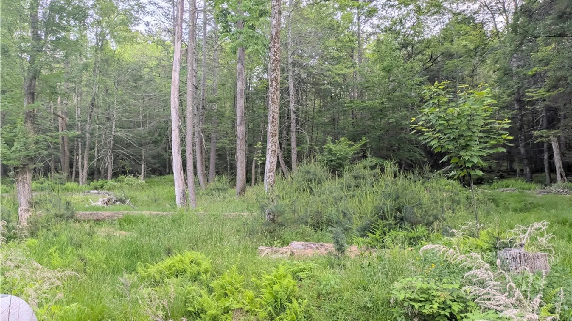Property at Lot 5 Blueberry Hill Road, Olive, NY 12461 3