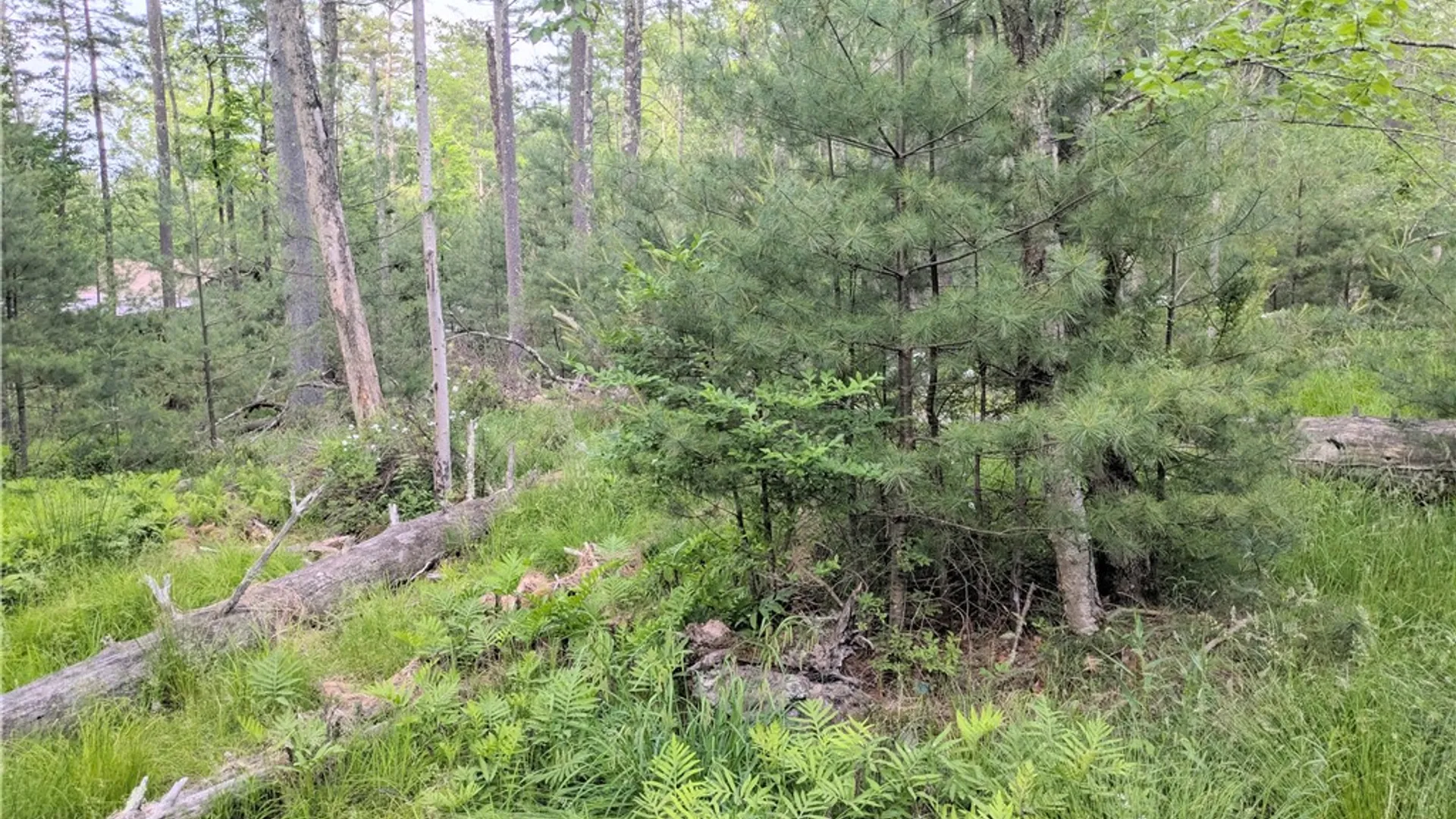 Property at Lot 5 Blueberry Hill Road, Olive, NY 12461 7