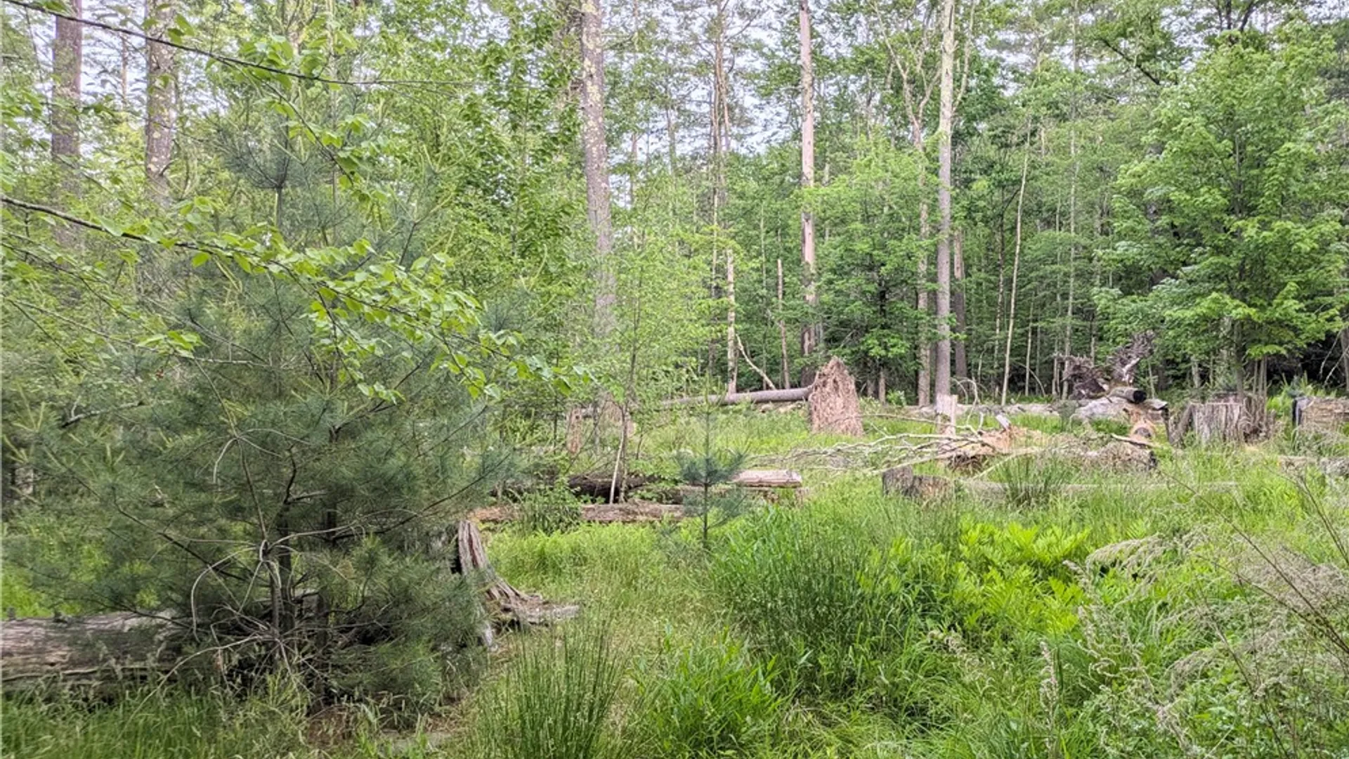 Property at Lot 5 Blueberry Hill Road, Olive, NY 12461 8