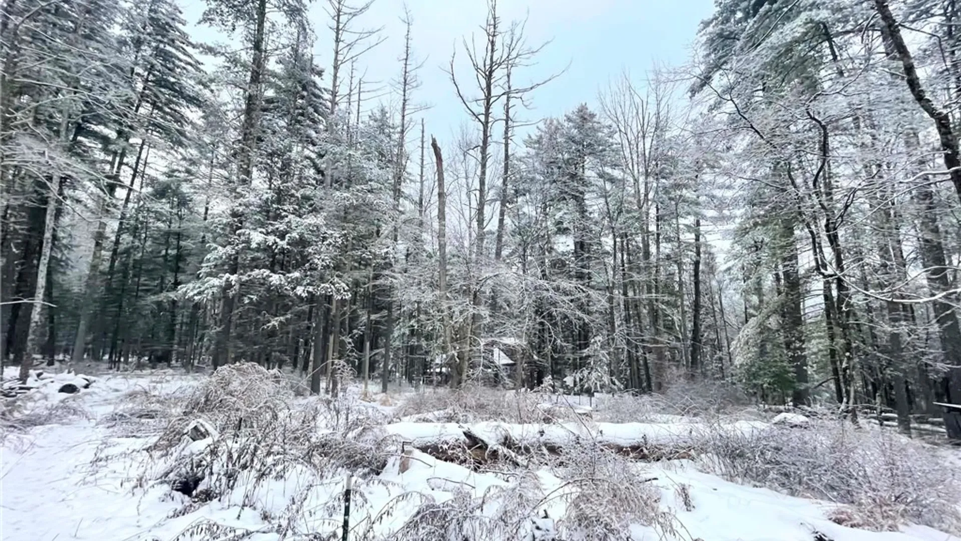 Property at Lot 5 Blueberry Hill Road, Olive, NY 12461 4