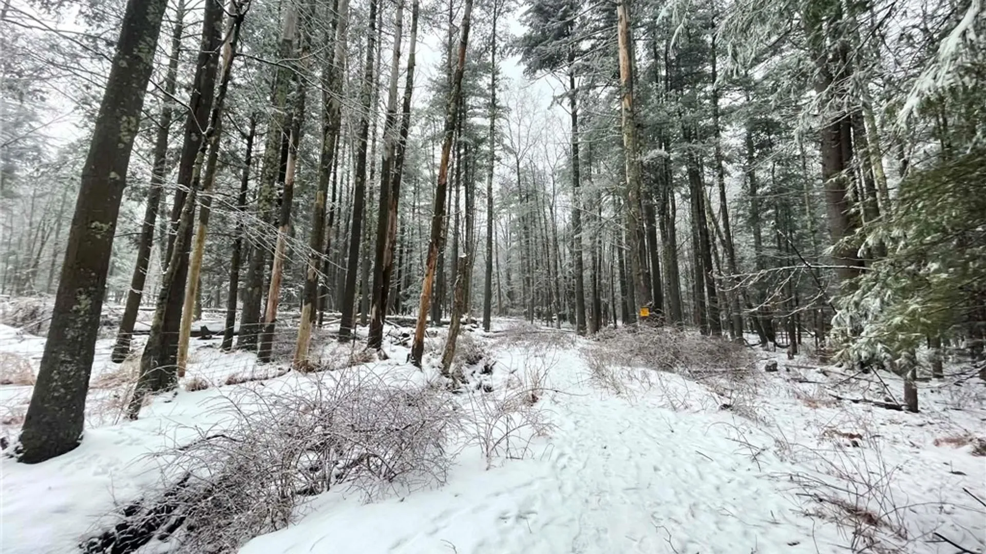 Property at Lot 5 Blueberry Hill Road, Olive, NY 12461 10