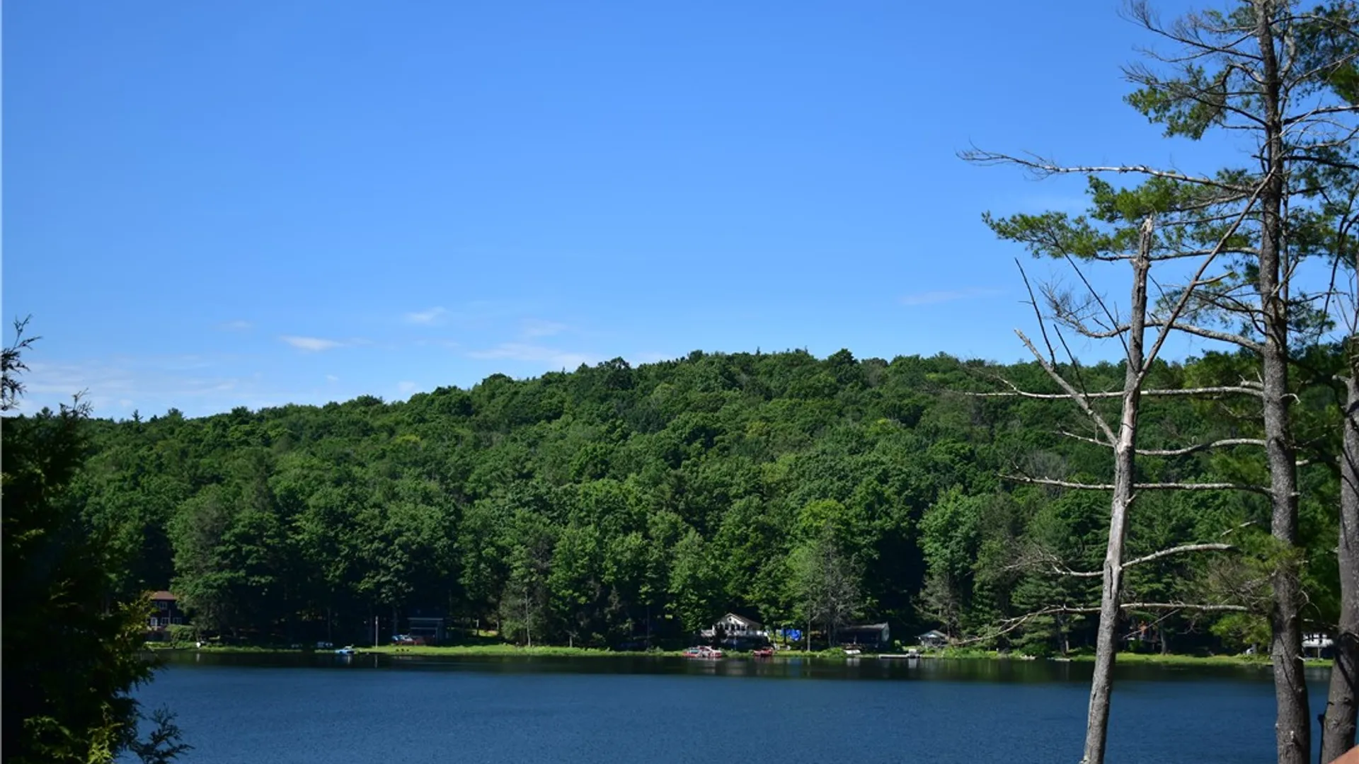 Property at 220 Beaver Lake Circle, Windsor, NY 13865 7