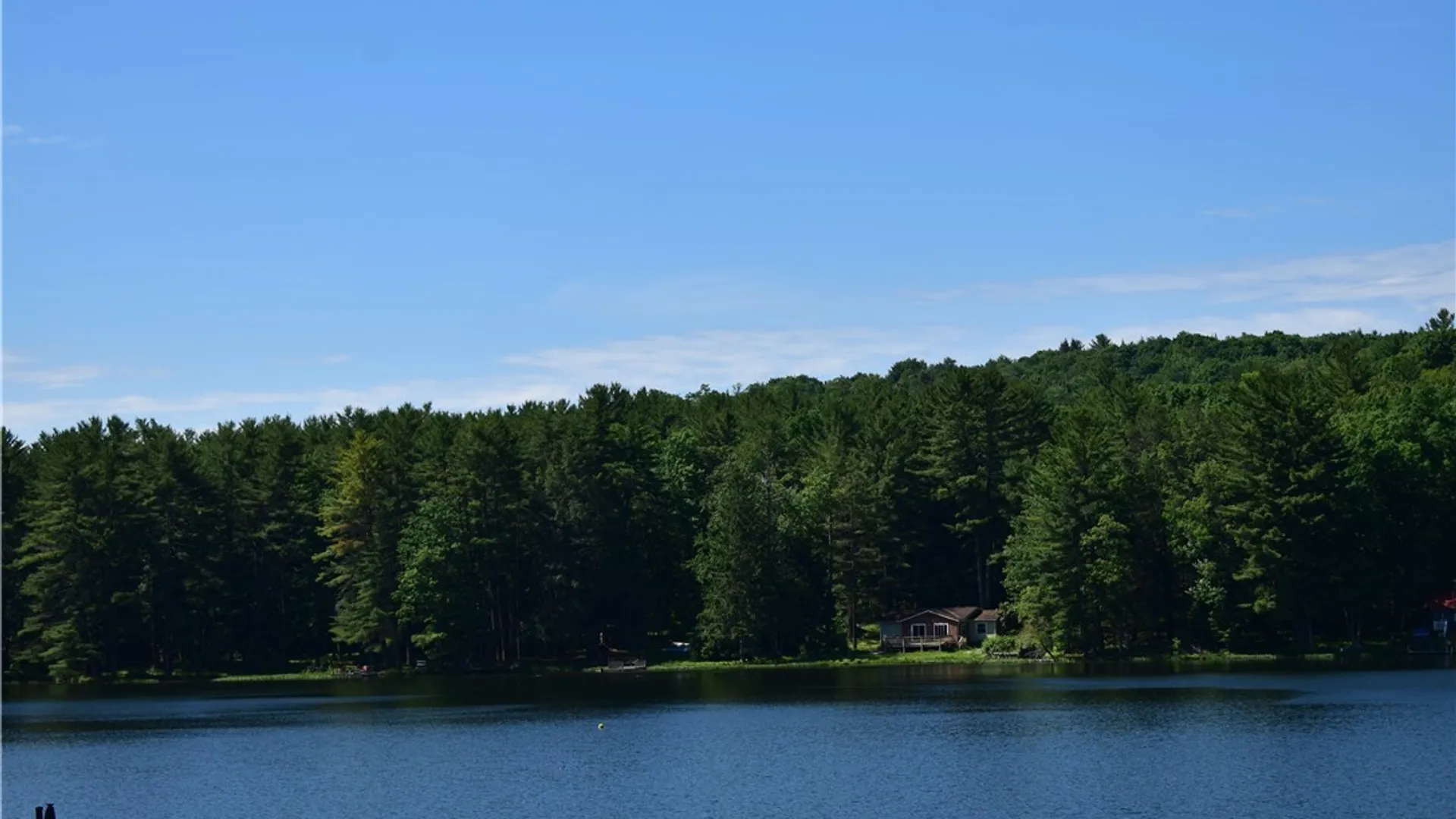 Property at 220 Beaver Lake Circle, Windsor, NY 13865 8