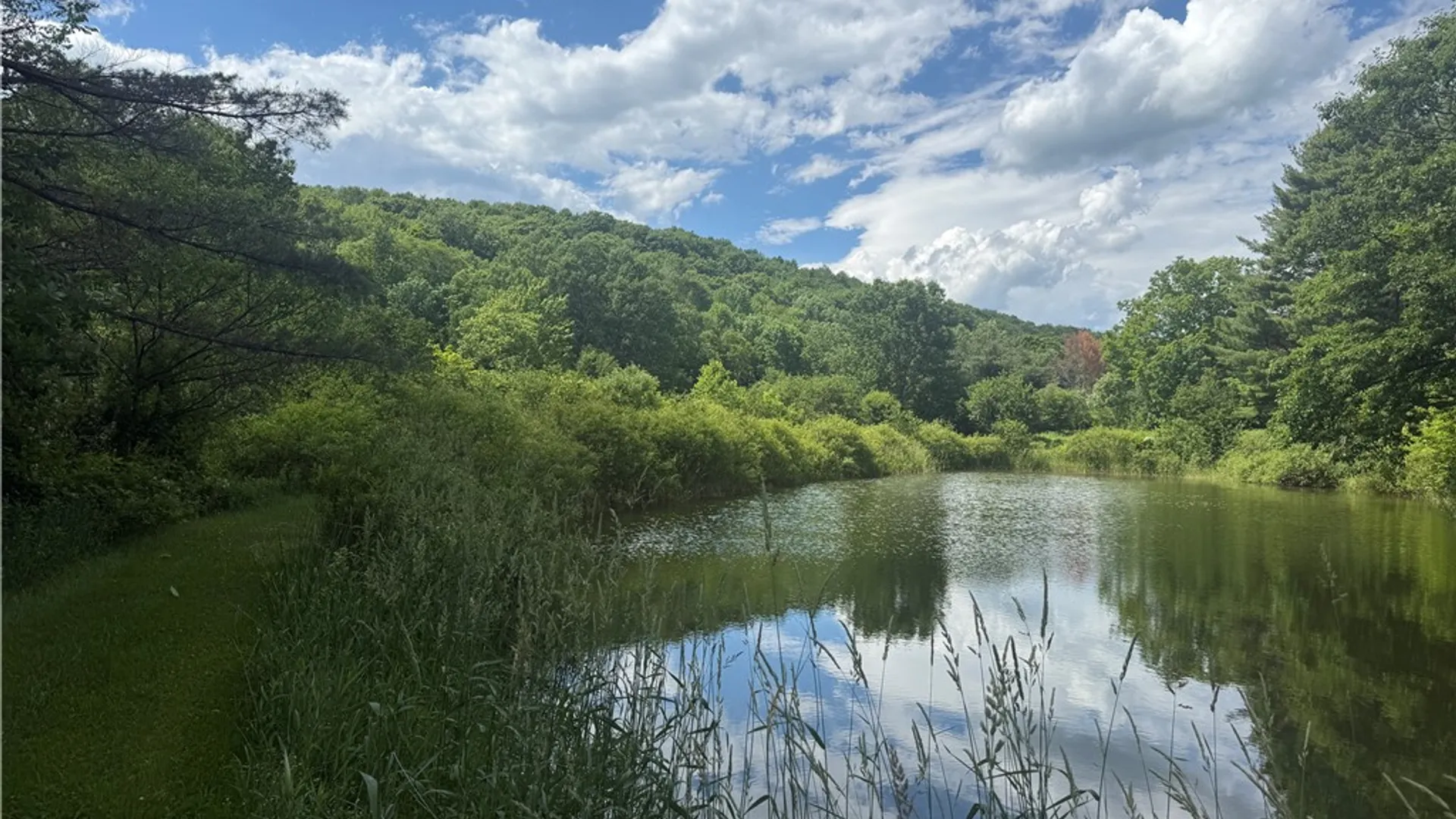 Property at 208 Pottery Lane, Otsego, NY 13326 39