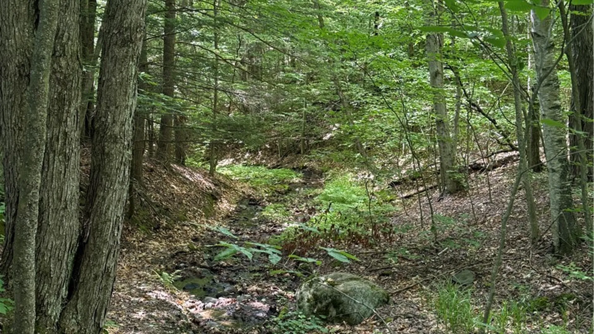 Property at 208 Pottery Lane, Otsego, NY 13326 46