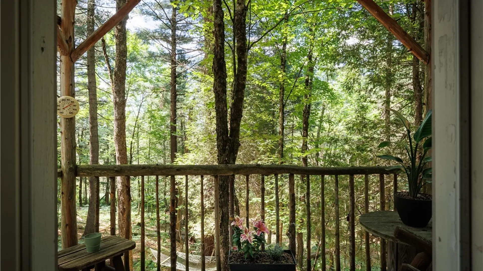 Property at 8401 Power Line Drive, Diana, NY 13648 15