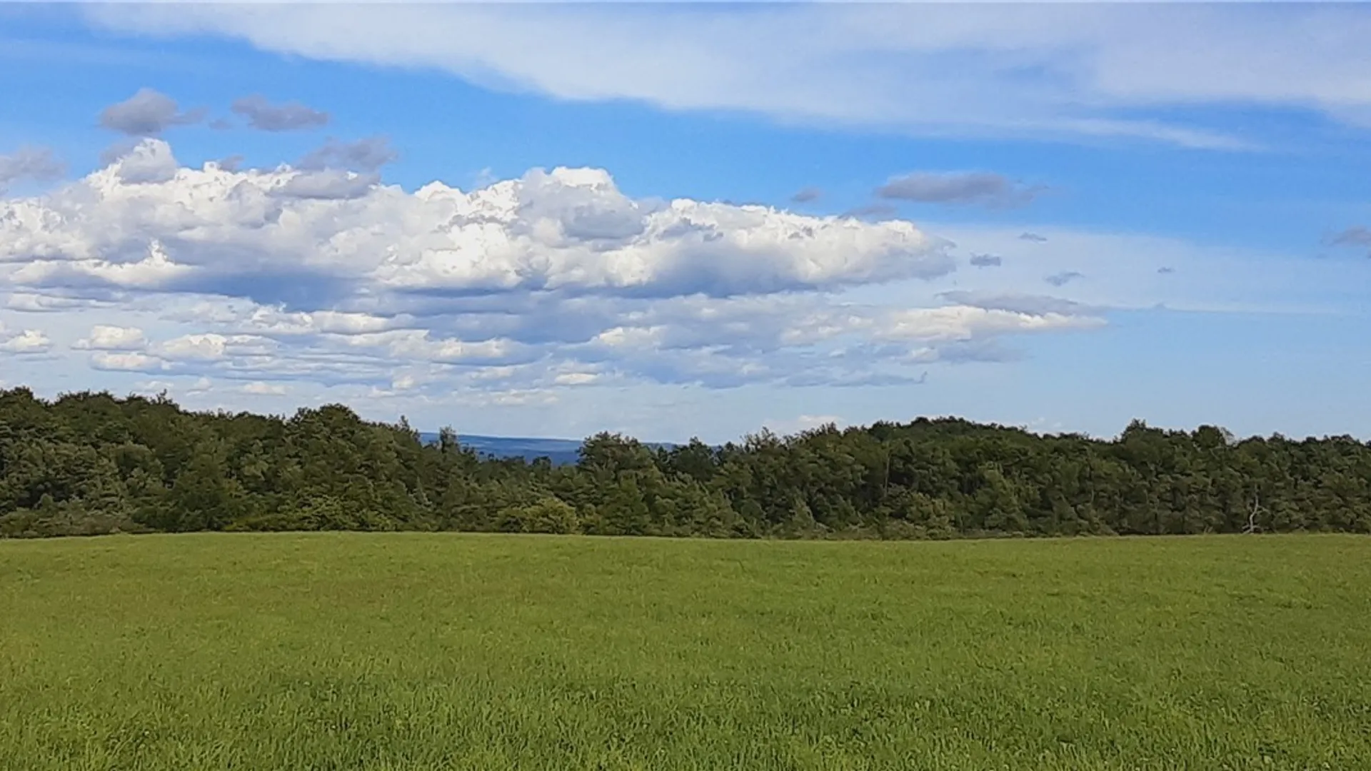 Property at 1325 State Route 170, Little Falls Town, NY 13406 7