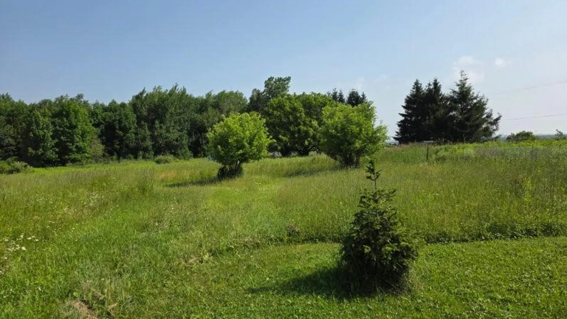 Property at 3017 State Route 41a, Sempronius, NY 13118 37